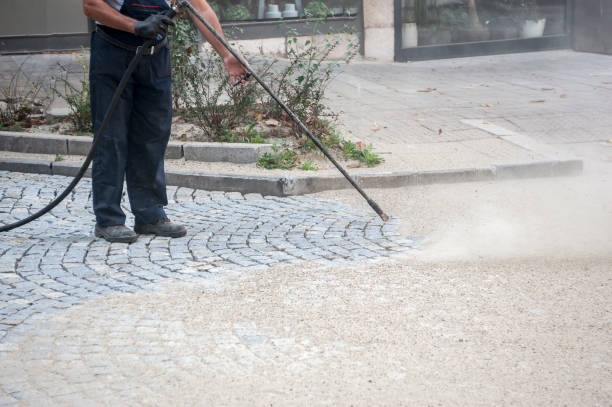 Best Patio and Deck Pressure Washing  in Kemp Mill, MD